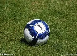 贷款服务项,乐竞体育,LEJIN,LEJIN,Sports,乐竞体育,体育直播,体育赛事,APP下载,官方网地址